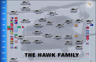 the hawk family