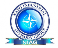 NIAG logo